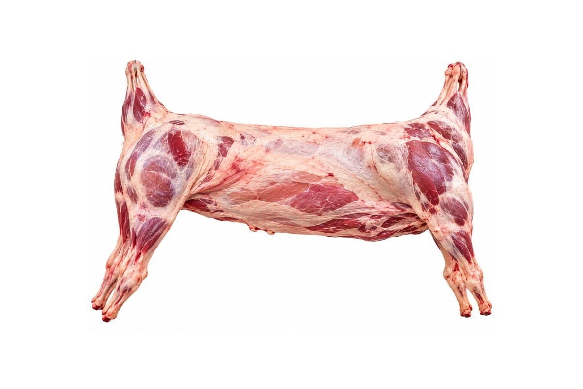Mouton (Entier)